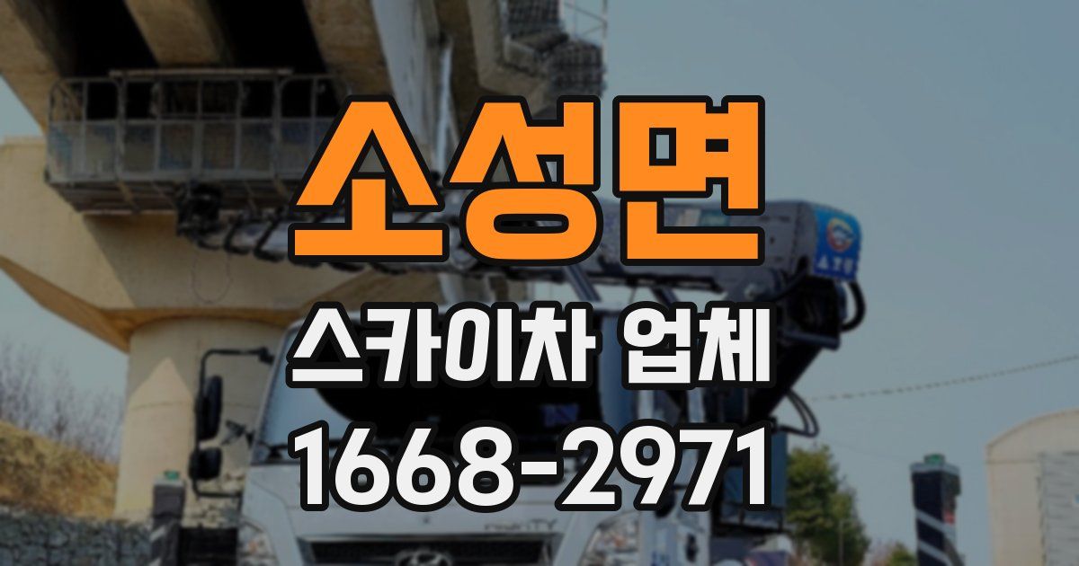 소성면 스카이차 업체