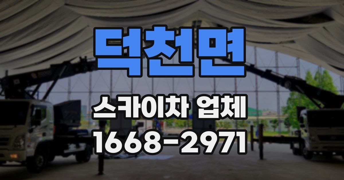 덕천면 스카이차 업체