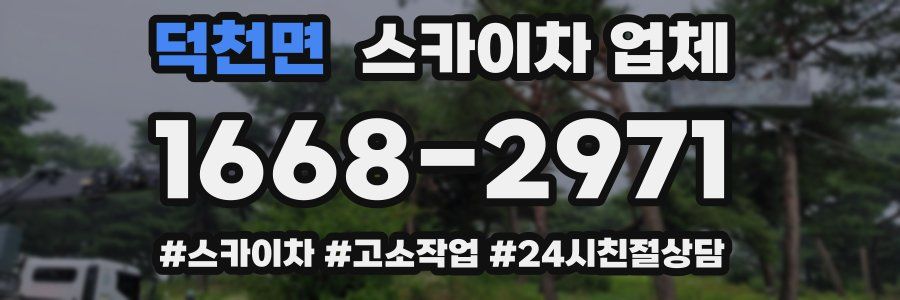 덕천면 스카이차 업체