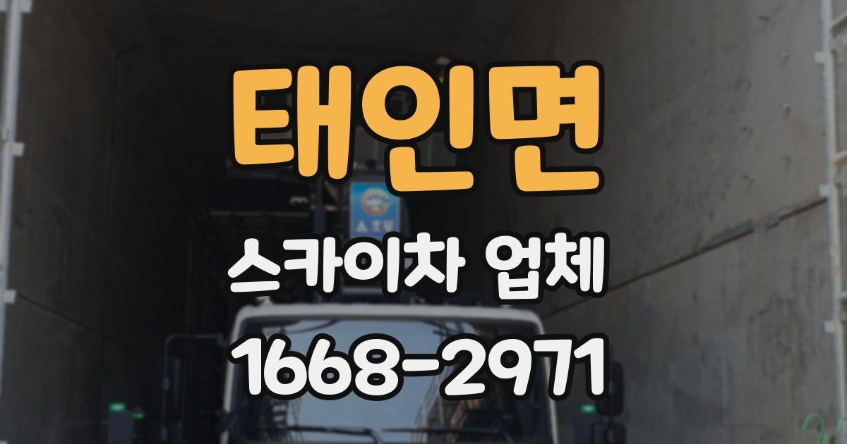 태인면 스카이차 업체