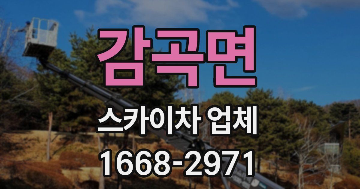 감곡면 스카이차 업체