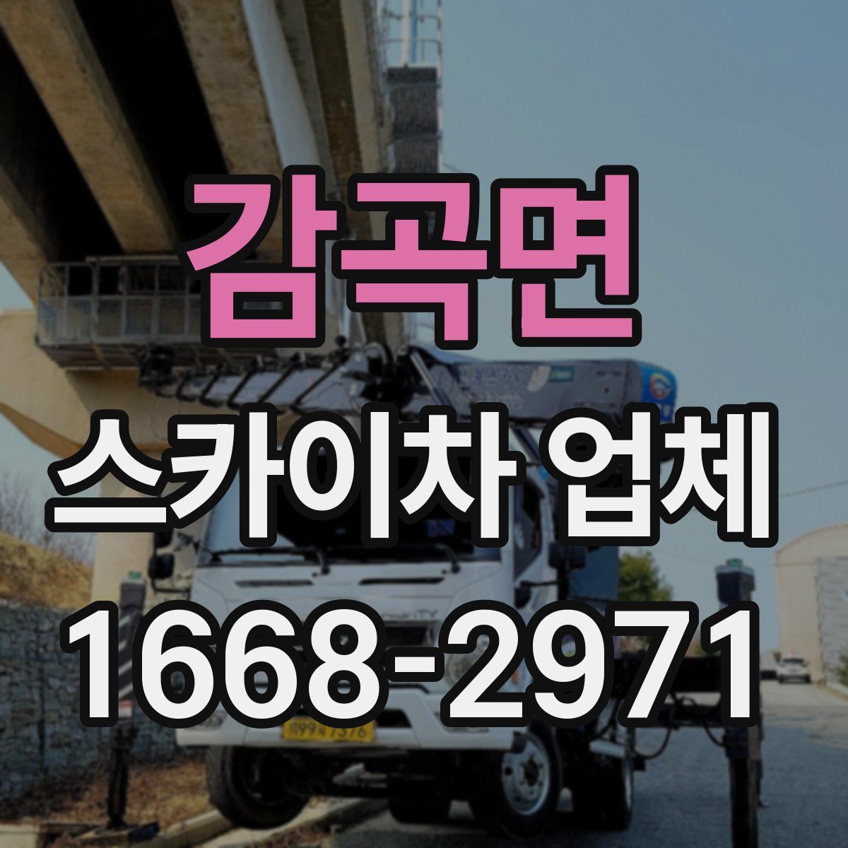 감곡면 스카이차 업체