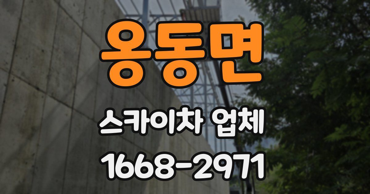 옹동면 스카이차 업체