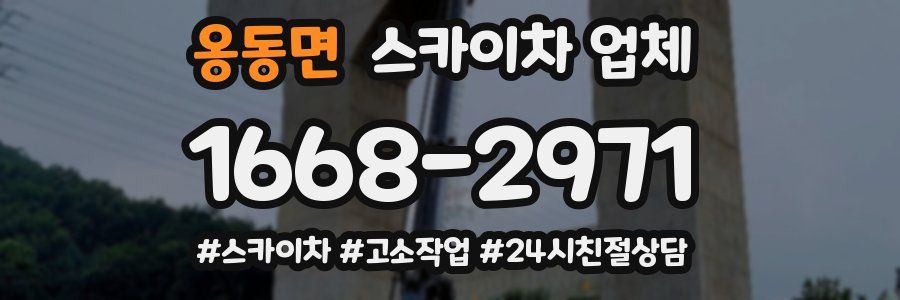 옹동면 스카이차 업체