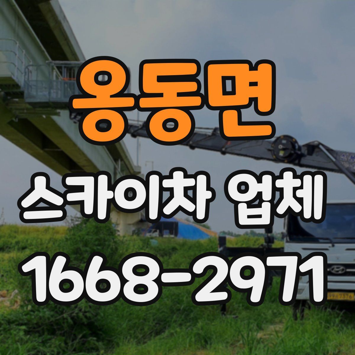 옹동면 스카이차 업체