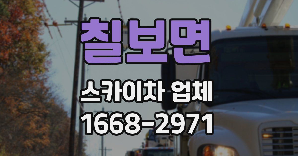 칠보면 스카이차 업체