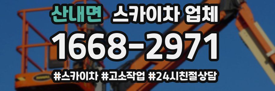 산내면 스카이차 업체