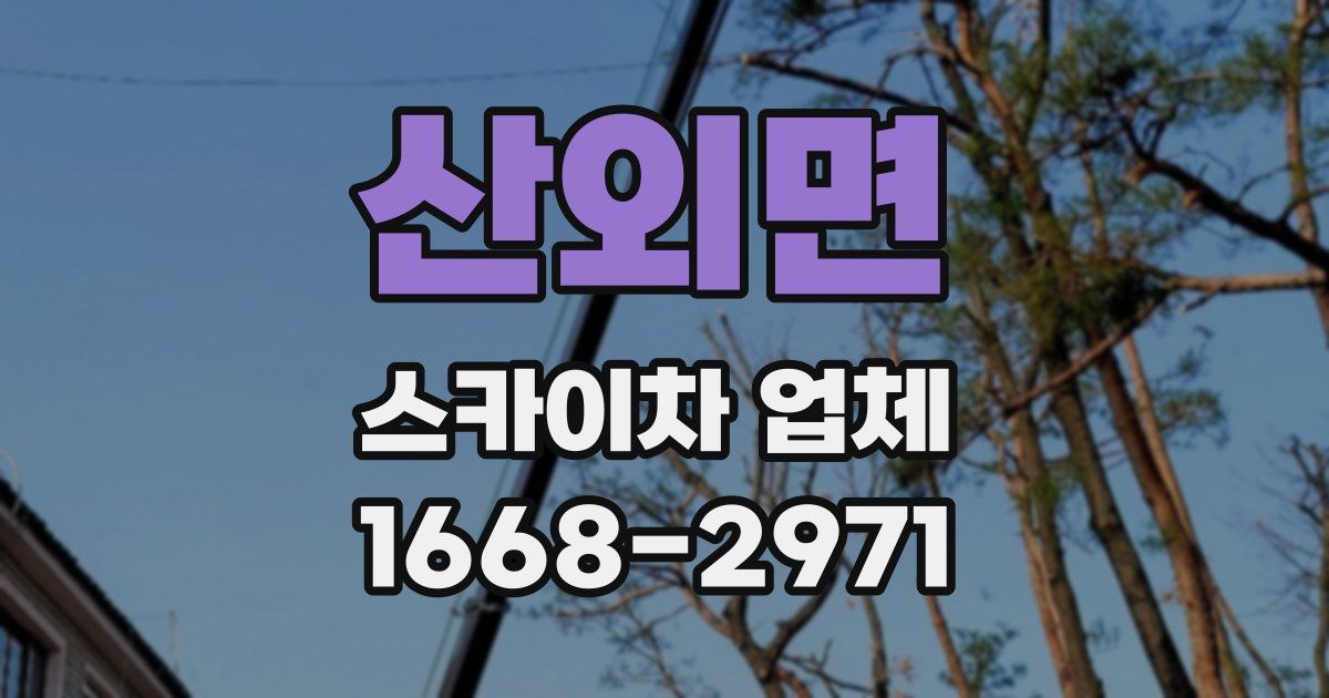 산외면 스카이차 업체