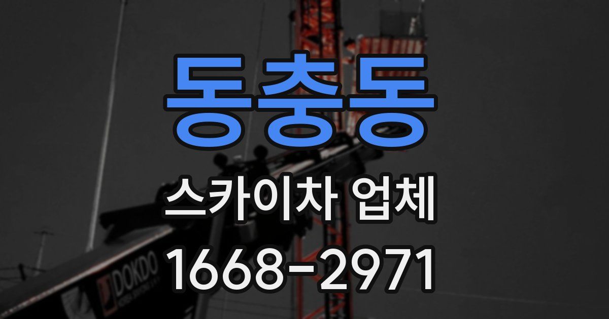 동충동 스카이차 업체