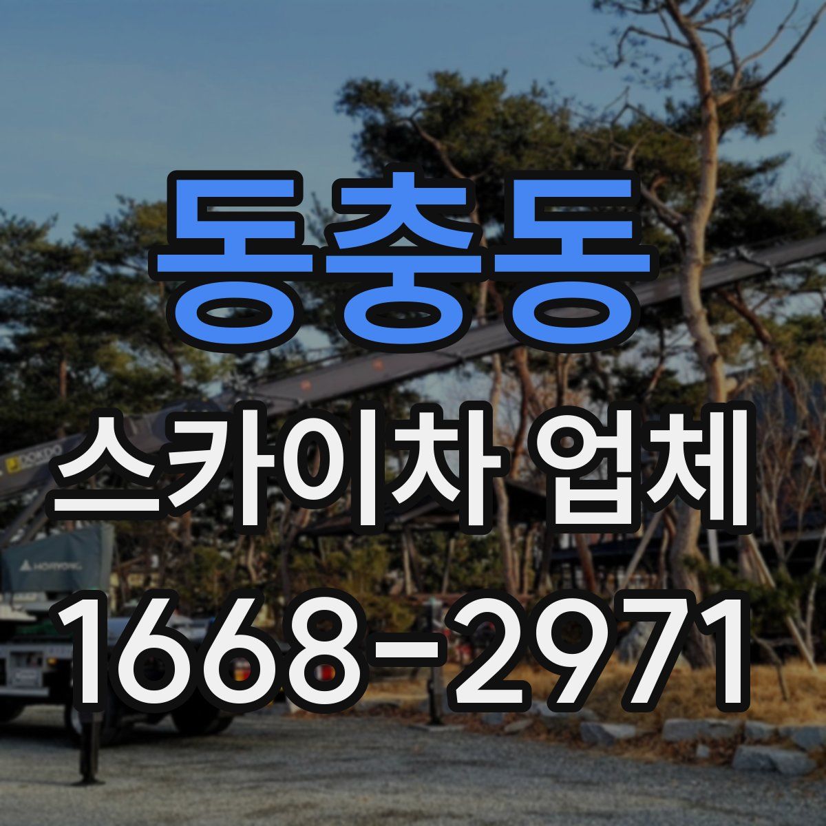 동충동 스카이차 업체