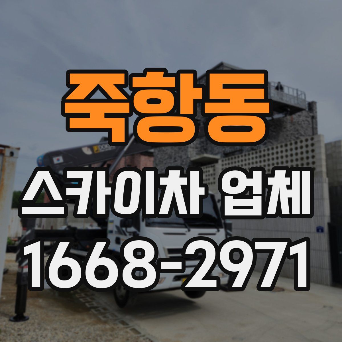 죽항동 스카이차 업체