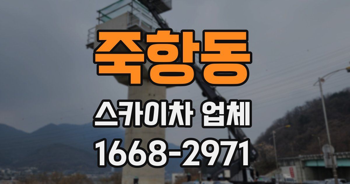 죽항동 스카이차 업체