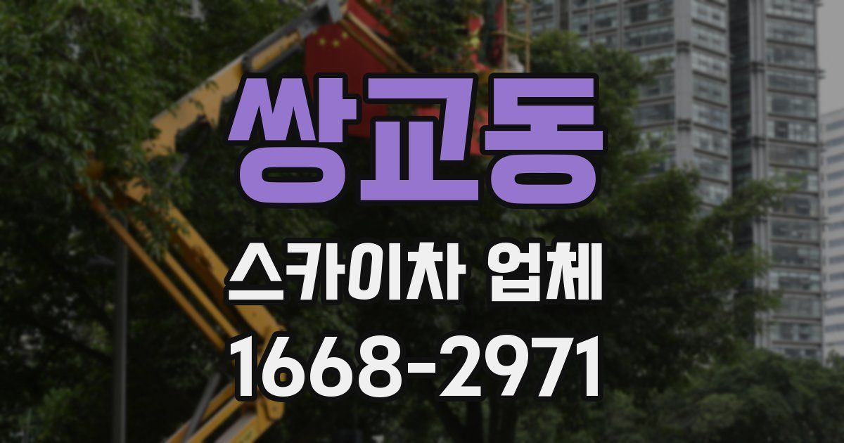 쌍교동 스카이차 업체