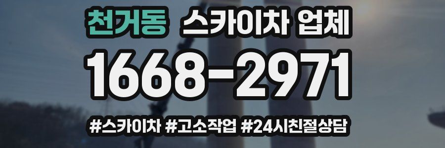 천거동 스카이차 업체