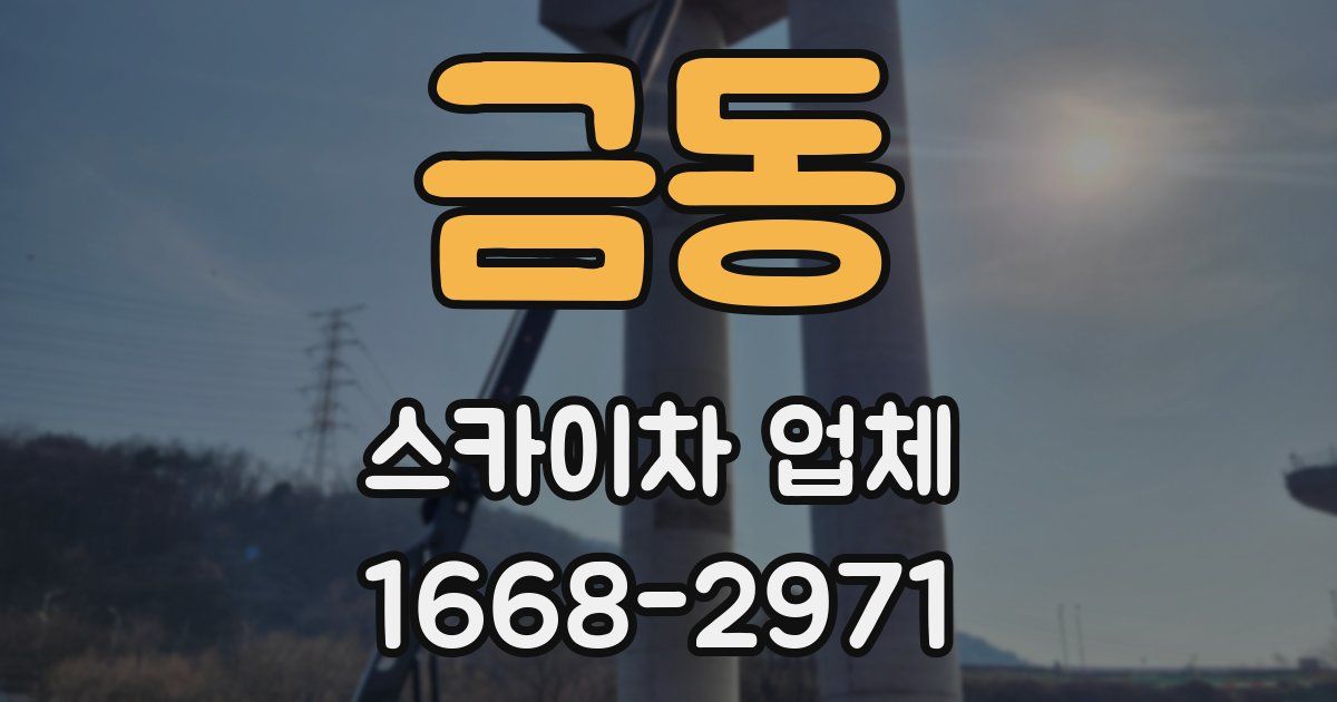 금동 스카이차 업체