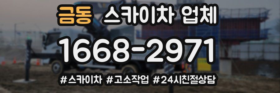 금동 스카이차 업체