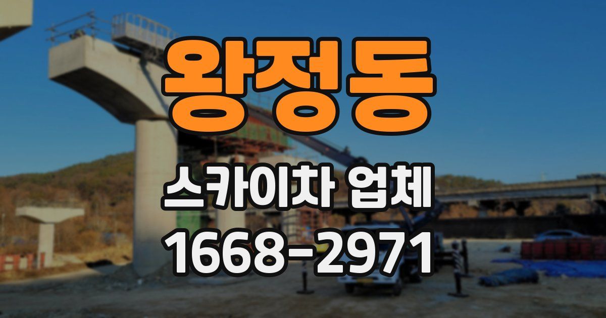 왕정동 스카이차 업체