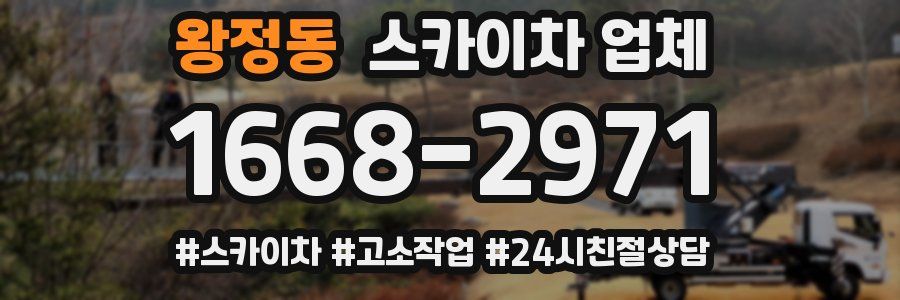 왕정동 스카이차 업체