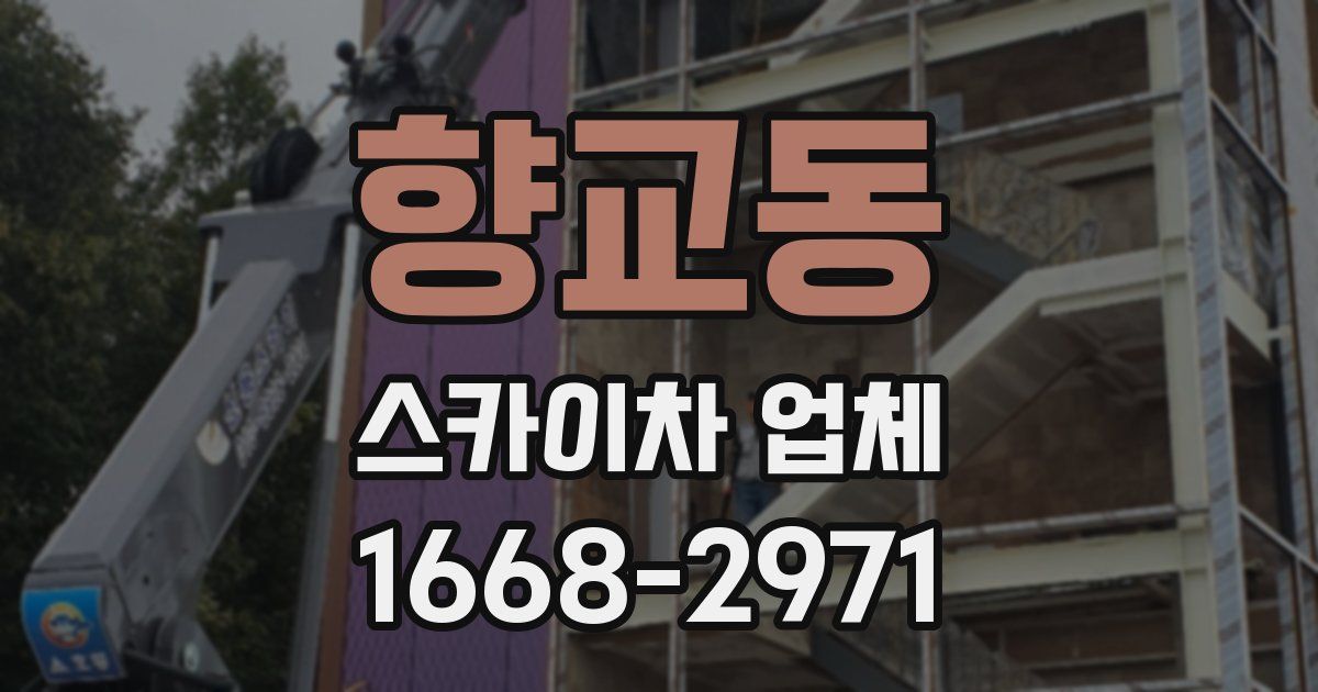 향교동 스카이차 업체