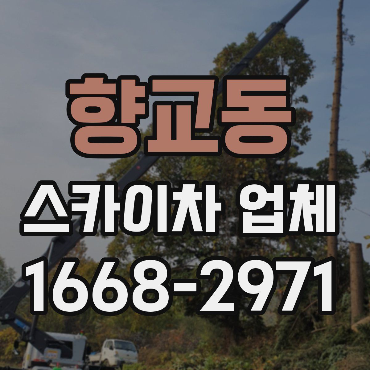 향교동 스카이차 업체