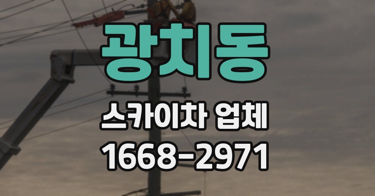 광치동 스카이차 업체