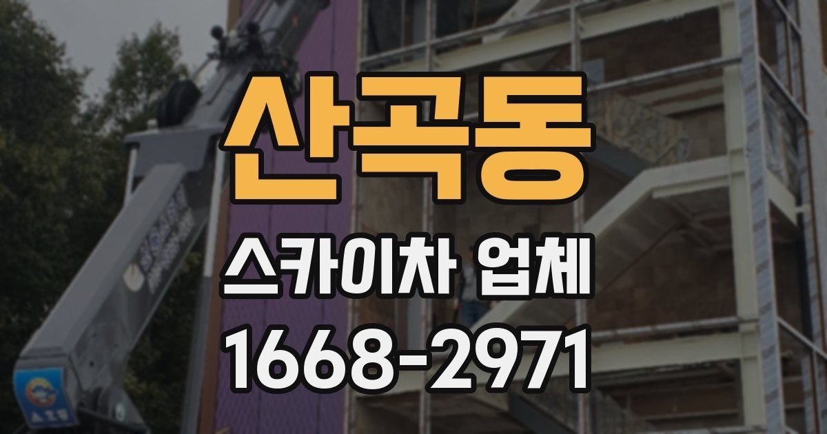 산곡동 스카이차 업체