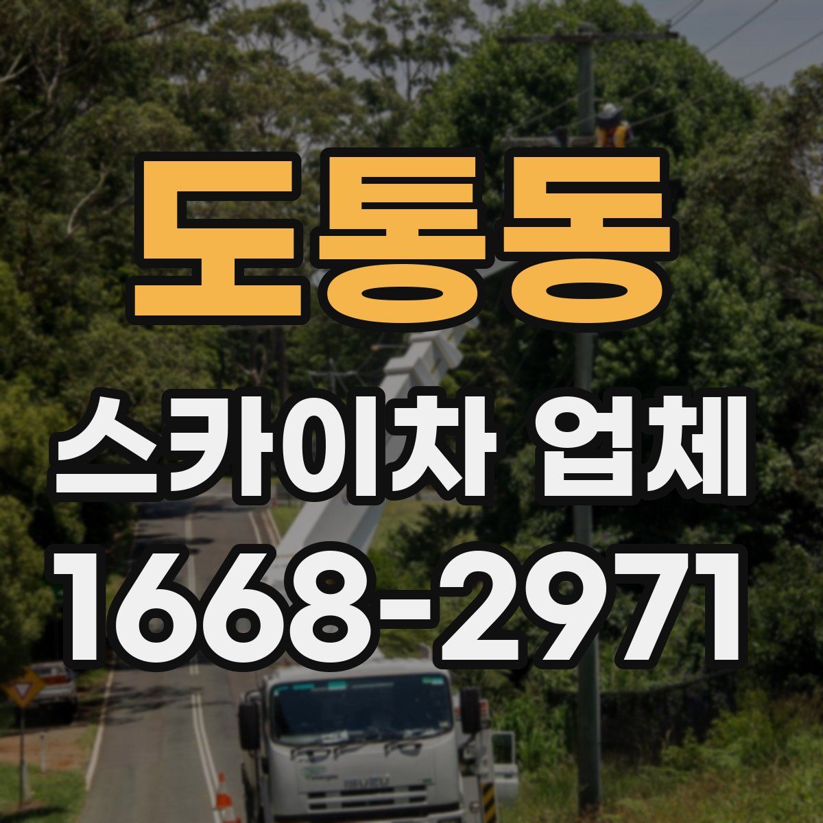도통동 스카이차 업체