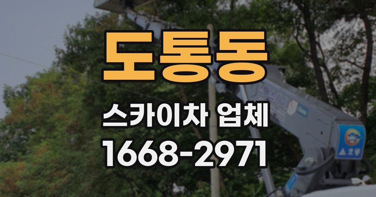도통동 스카이차 업체