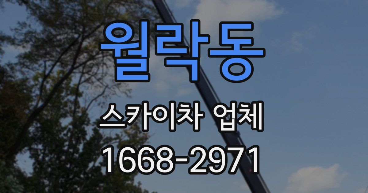 월락동 스카이차 업체
