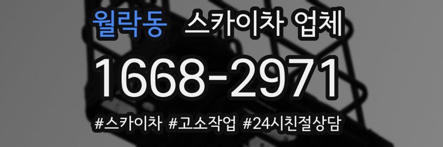 월락동 스카이차 업체