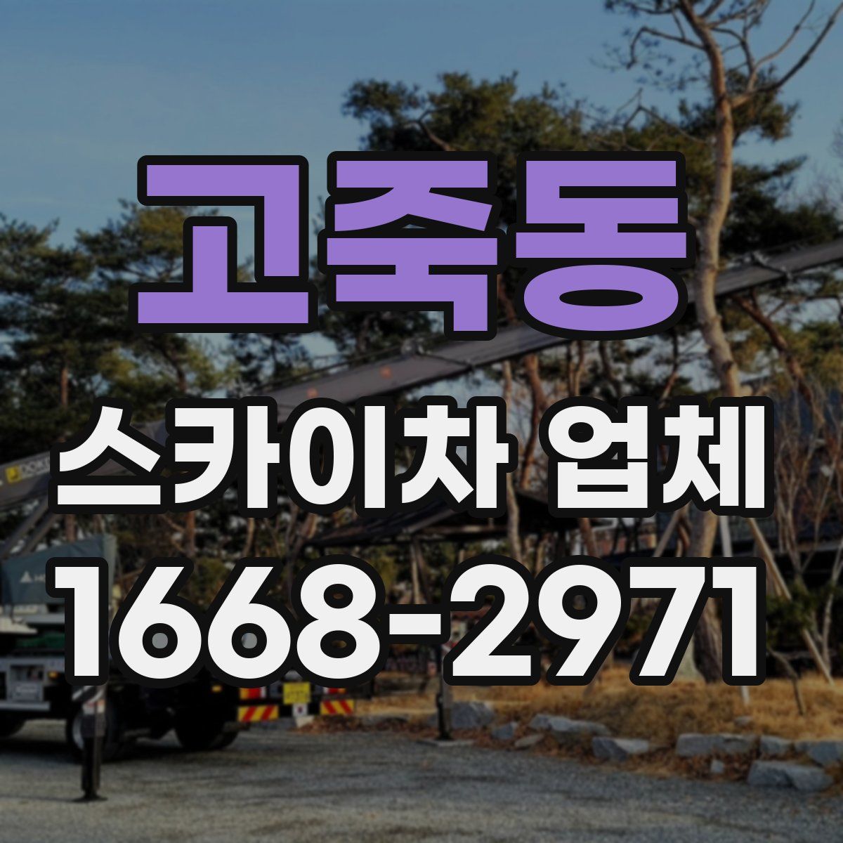고죽동 스카이차 업체