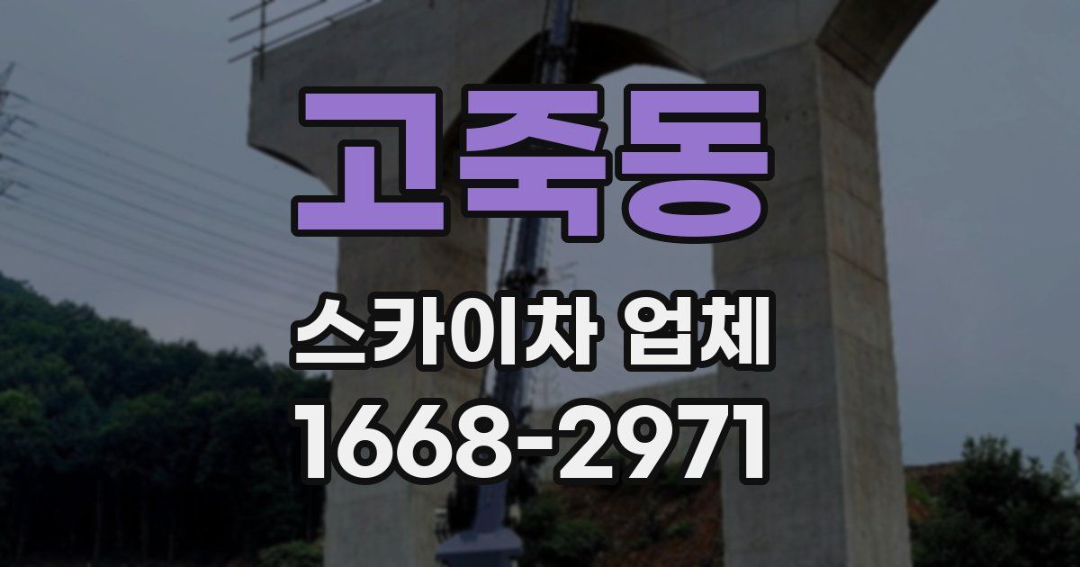 고죽동 스카이차 업체
