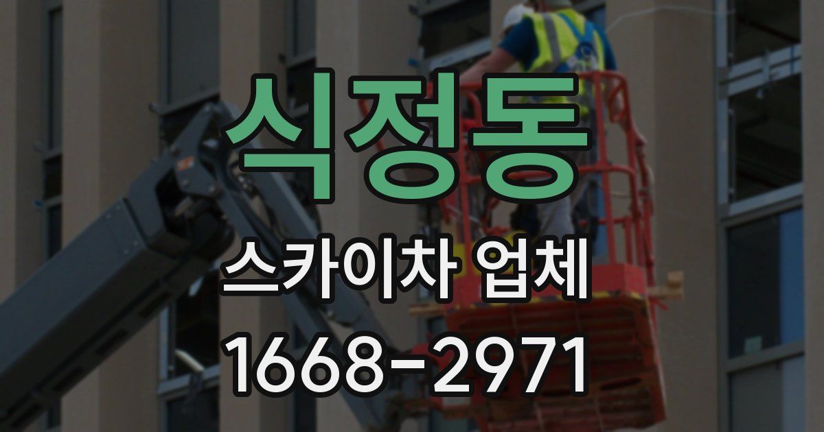 식정동 스카이차 업체