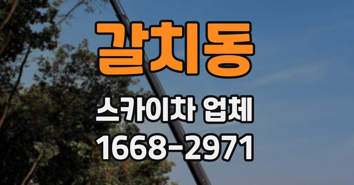 갈치동 스카이차 업체