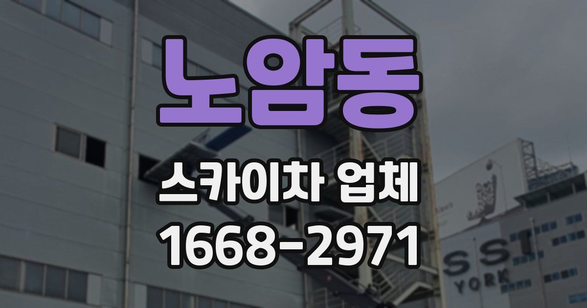 노암동 스카이차 업체