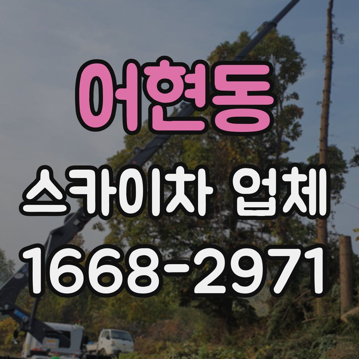 어현동 스카이차 업체