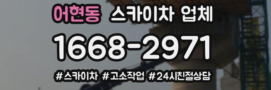 어현동 스카이차 업체