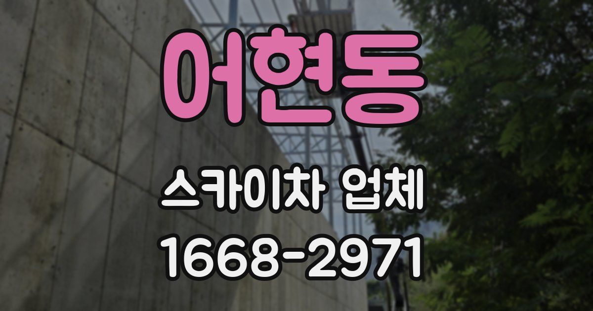 어현동 스카이차 업체