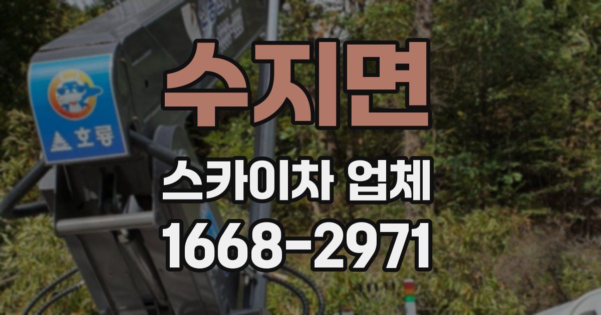 수지면 스카이차 업체
