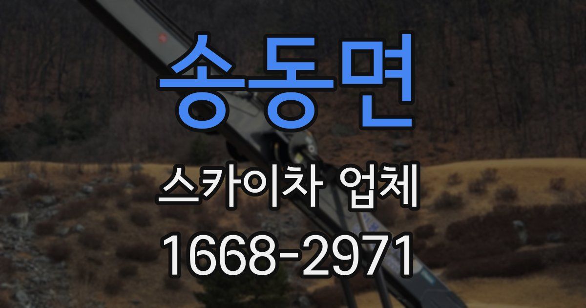 송동면 스카이차 업체