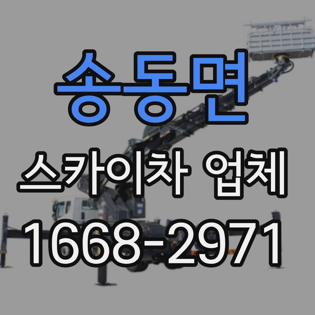 송동면 스카이차 업체