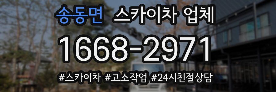 송동면 스카이차 업체