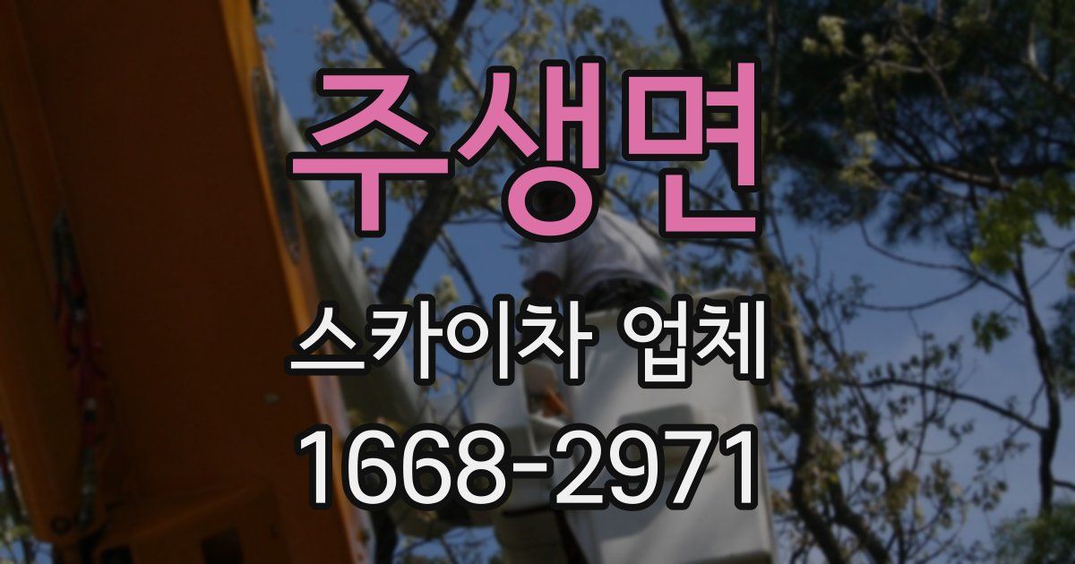 주생면 스카이차 업체