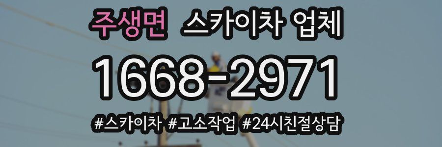 주생면 스카이차 업체