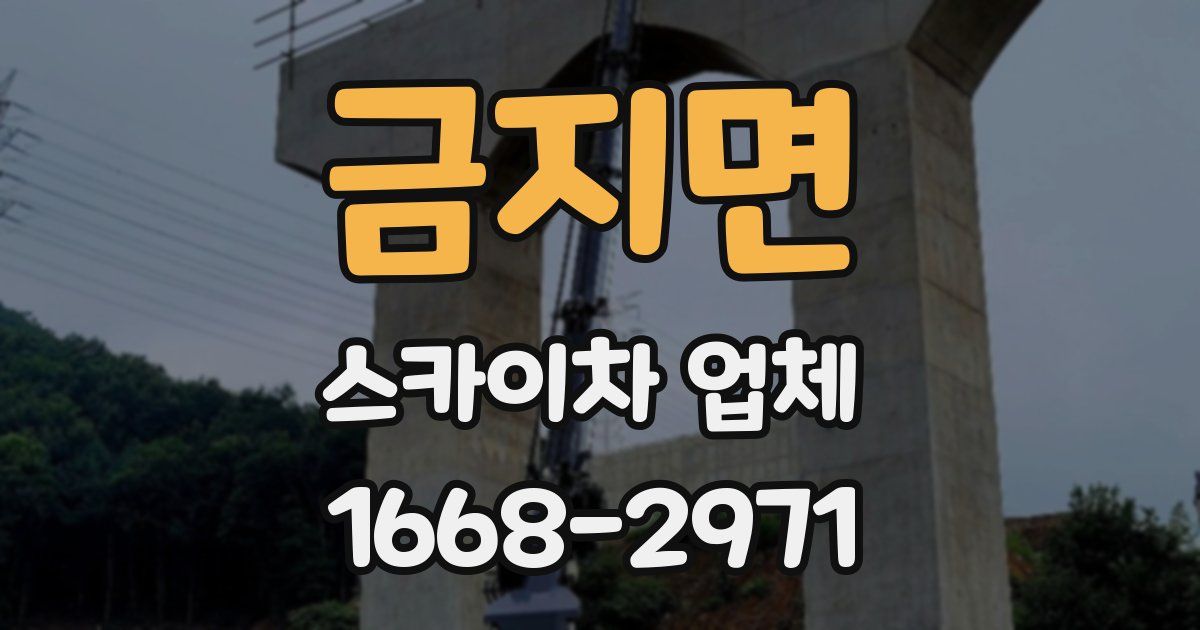 금지면 스카이차 업체