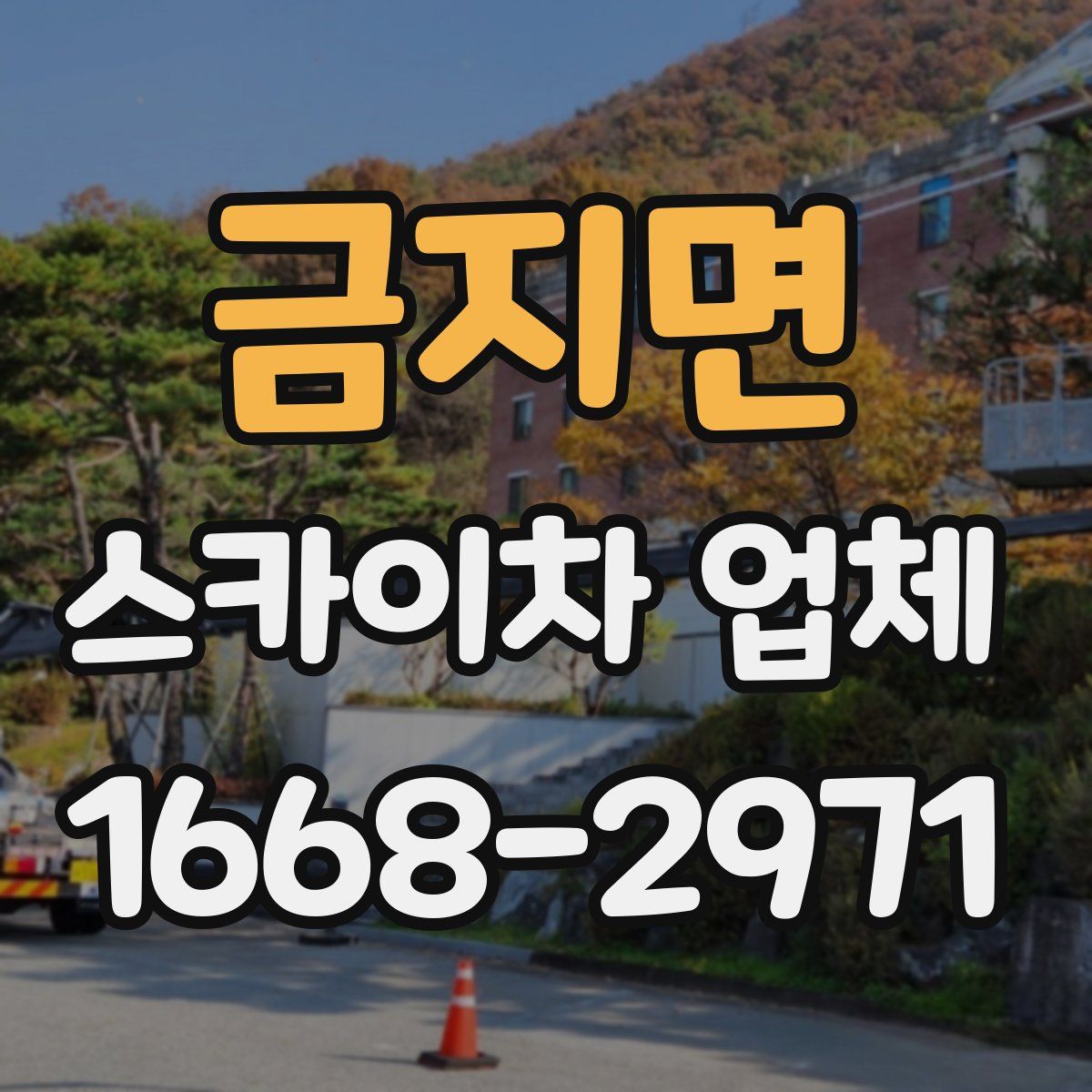 금지면 스카이차 업체