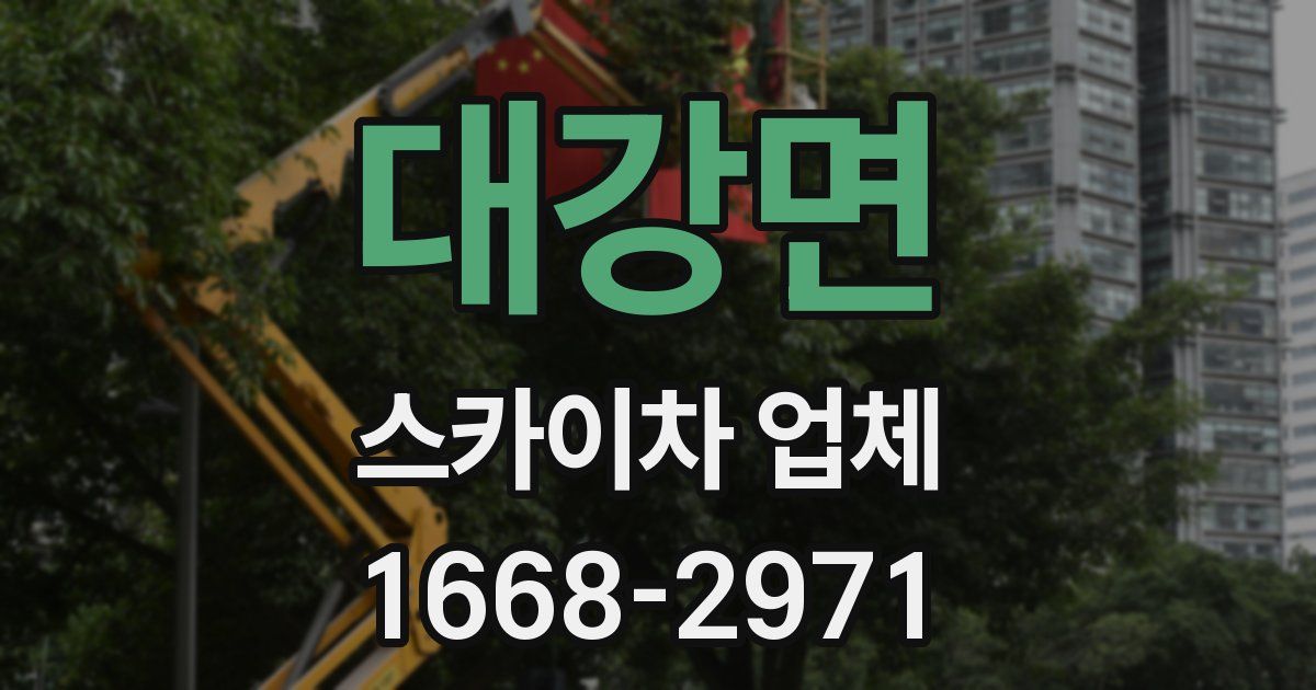 대강면 스카이차 업체
