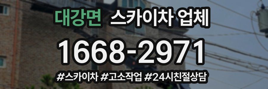 대강면 스카이차 업체