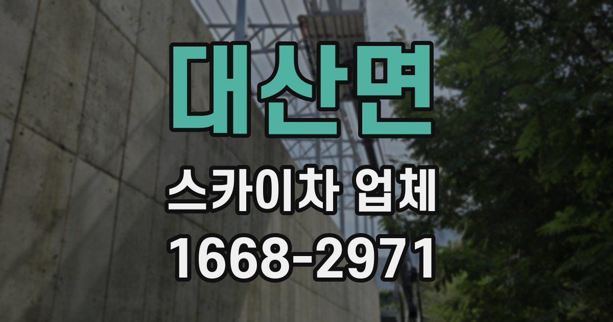 대산면 스카이차 업체