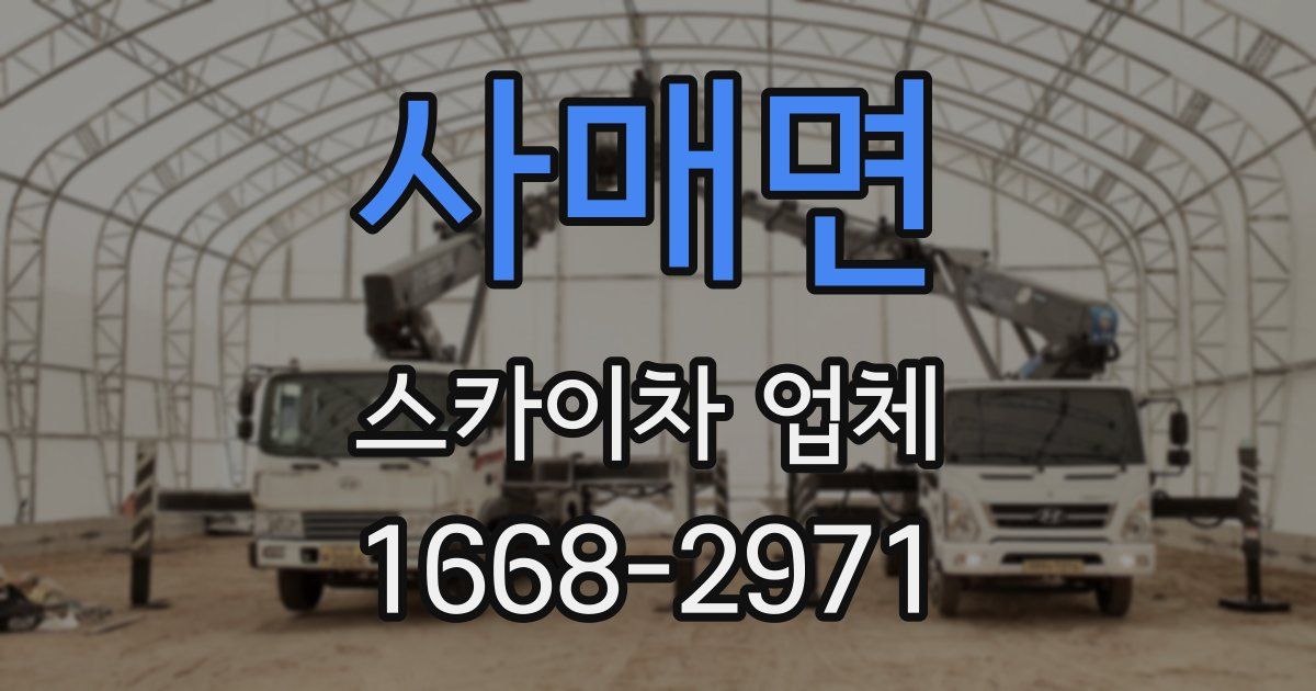 사매면 스카이차 업체